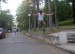 Ollie.jpg